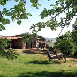 Casa Rural La Higuera de Llano Alto