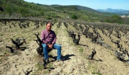 Catas de Vino en Sierra de Béjar