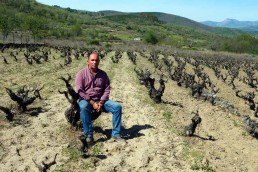 Catas de Vino en Sierra de Béjar