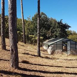 Casa Rural La Higuera de Llano Alto