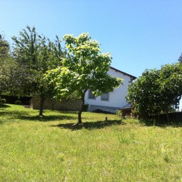 Casa Rural La Higuera de Llano Alto