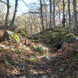 Sierra de Béjar, Salamanca